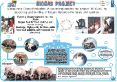 P1 English 199 kB pdf file